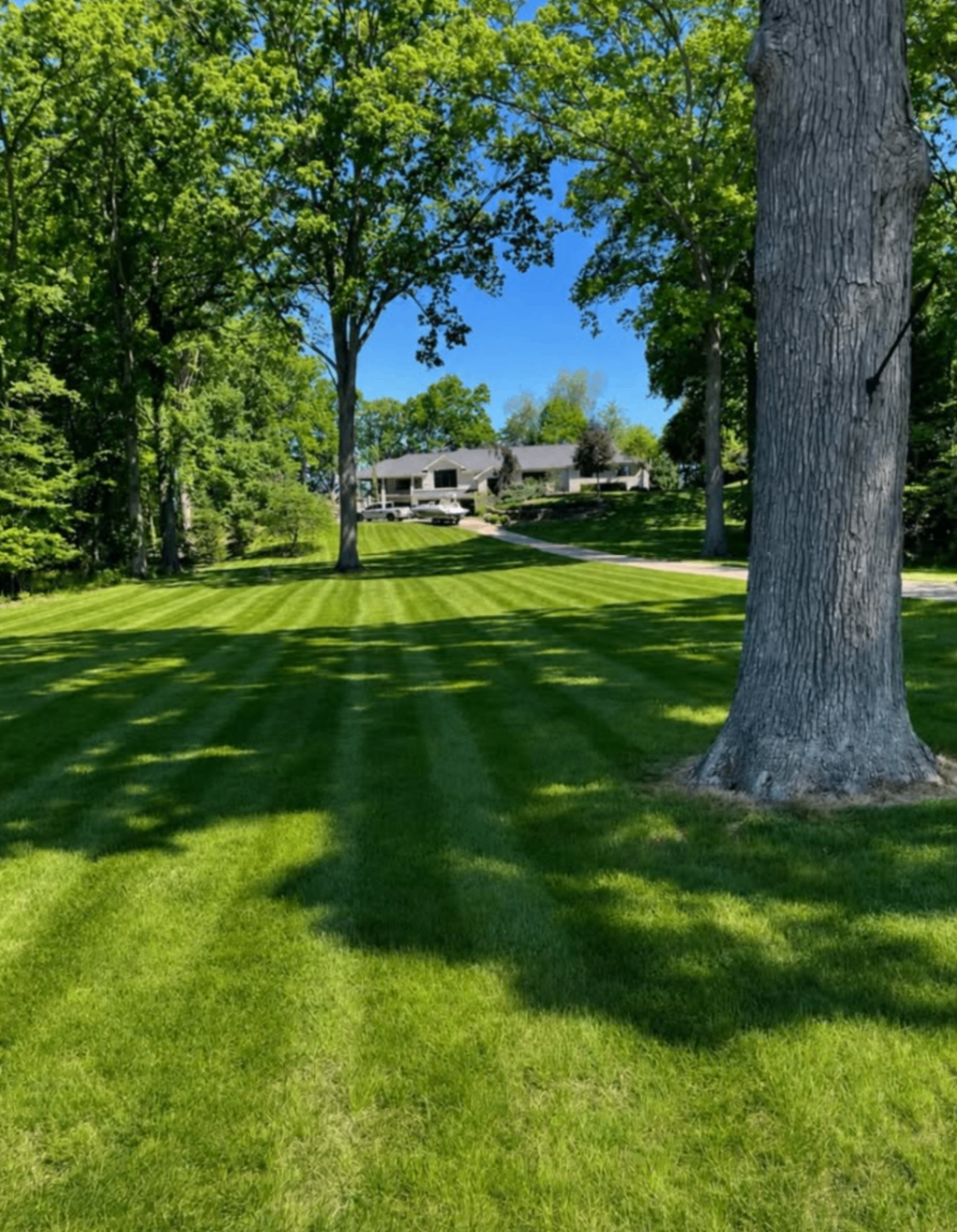 Freshly striped lawn stretching toward a home and trees